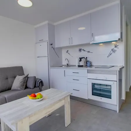 Penthouse Mit Traumblick Διαμέρισμα Arguineguin